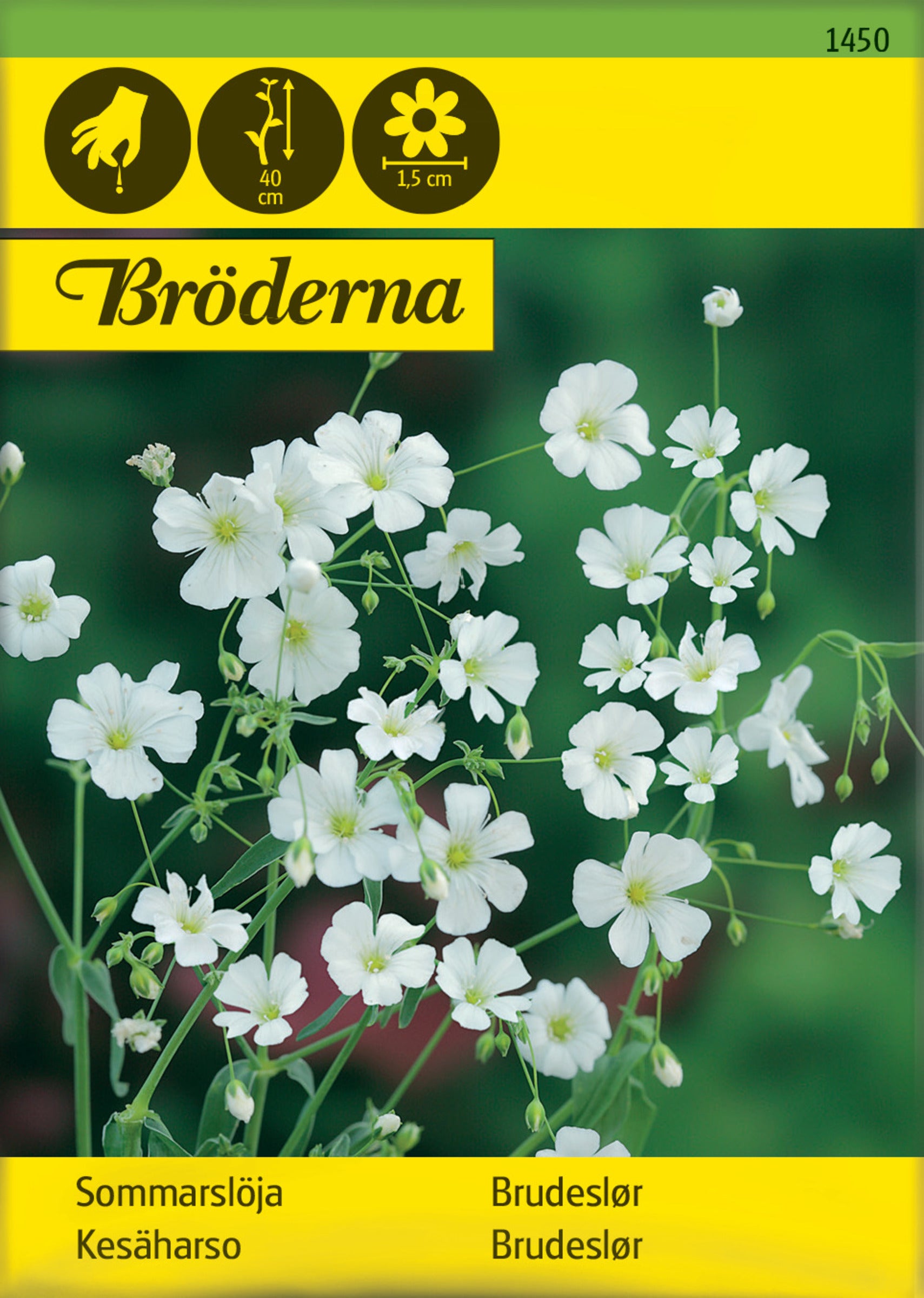 Sommarslöja, vit