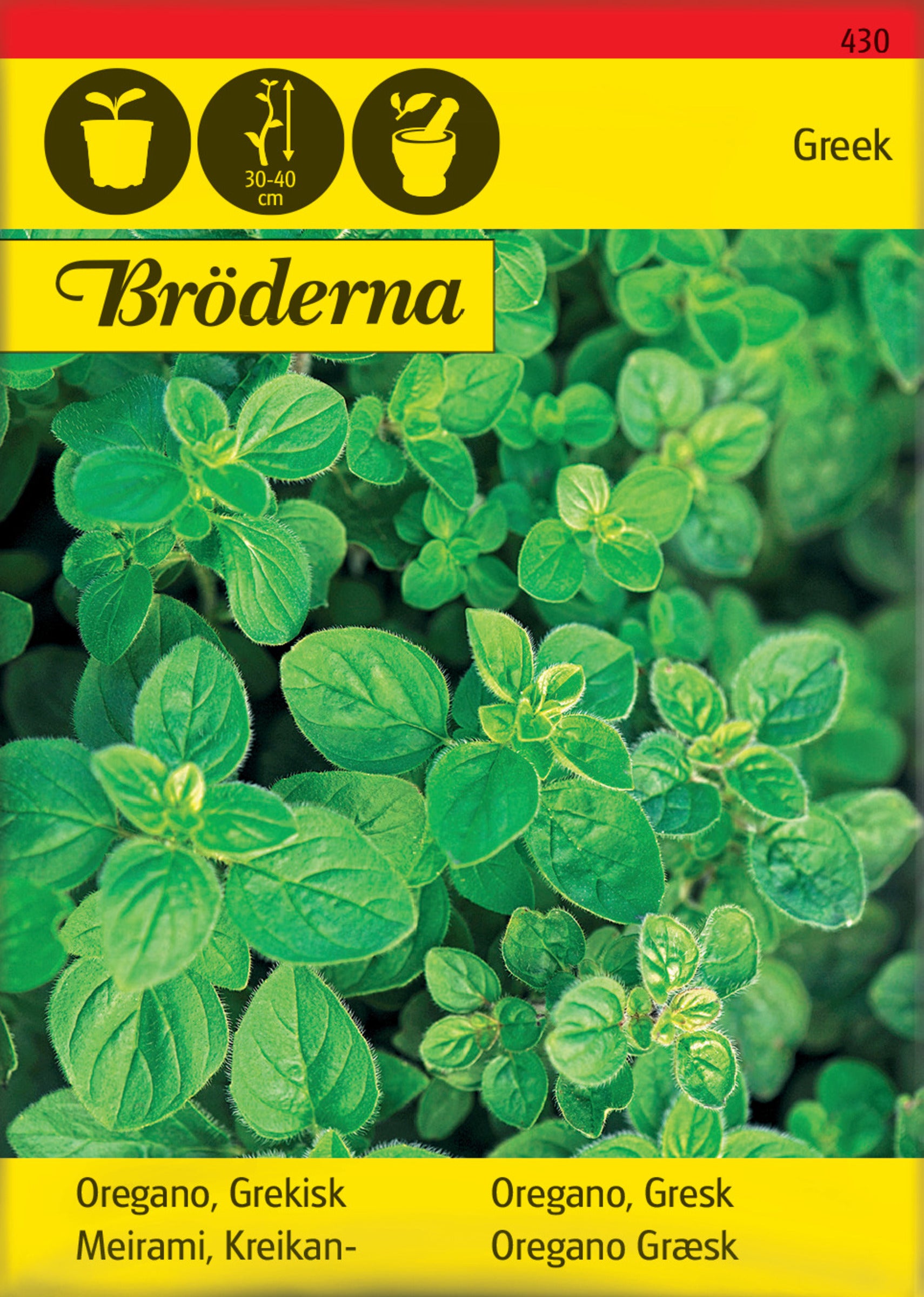 Oregano, Grekisk