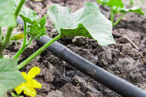 Köp Ecoplant - Startpaket droppslang - Hård slang - 25 meter Thujor.se